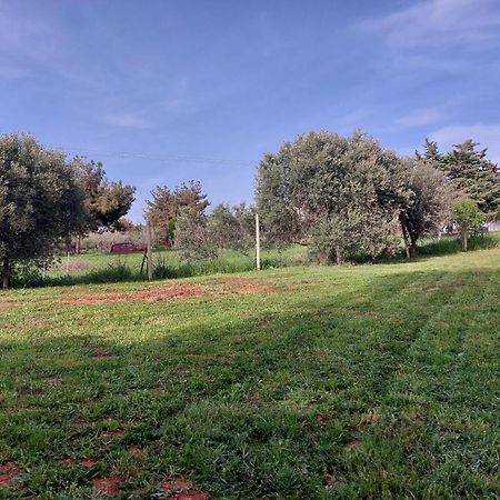 Black N' White Cozy Housegarden Alexandroupoli Eksteriør billede